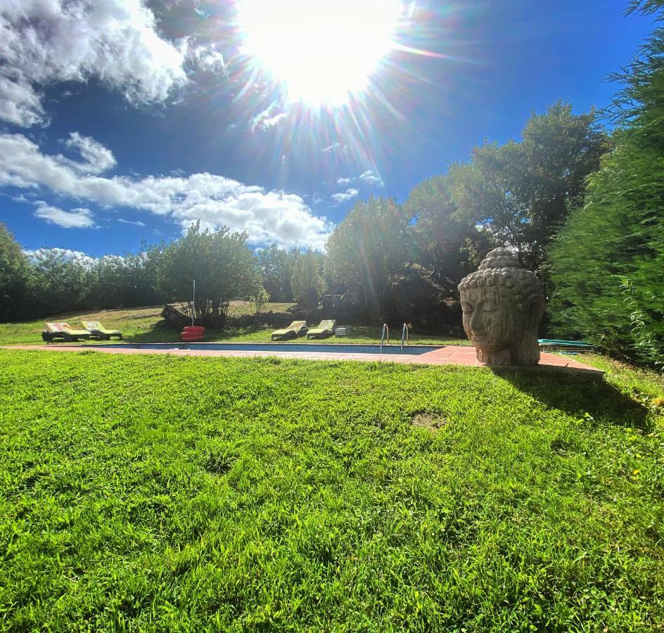 Casa De Campo Con Piscina, Entera O Por Habitaciones Amoeiro Eksteriør billede